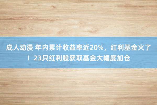 成人动漫 年内累计收益率近20%，红利基金火了！23只红利股获取基金大幅度加仓