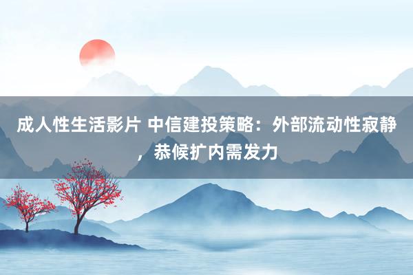 成人性生活影片 中信建投策略：外部流动性寂静，恭候扩内需发力