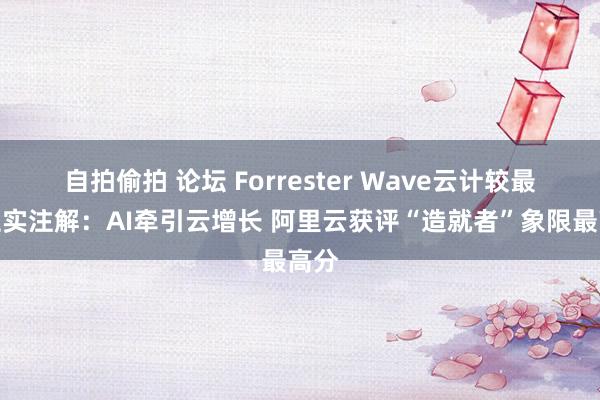 自拍偷拍 论坛 Forrester Wave云计较最新证实注解：AI牵引云增长 阿里云获评“造就者”象限最高分