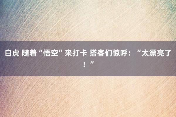 白虎 随着“悟空”来打卡 搭客们惊呼：“太漂亮了！”