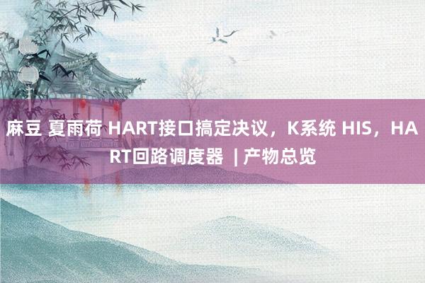 麻豆 夏雨荷 HART接口搞定决议，K系统 HIS，HART回路调度器  | 产物总览